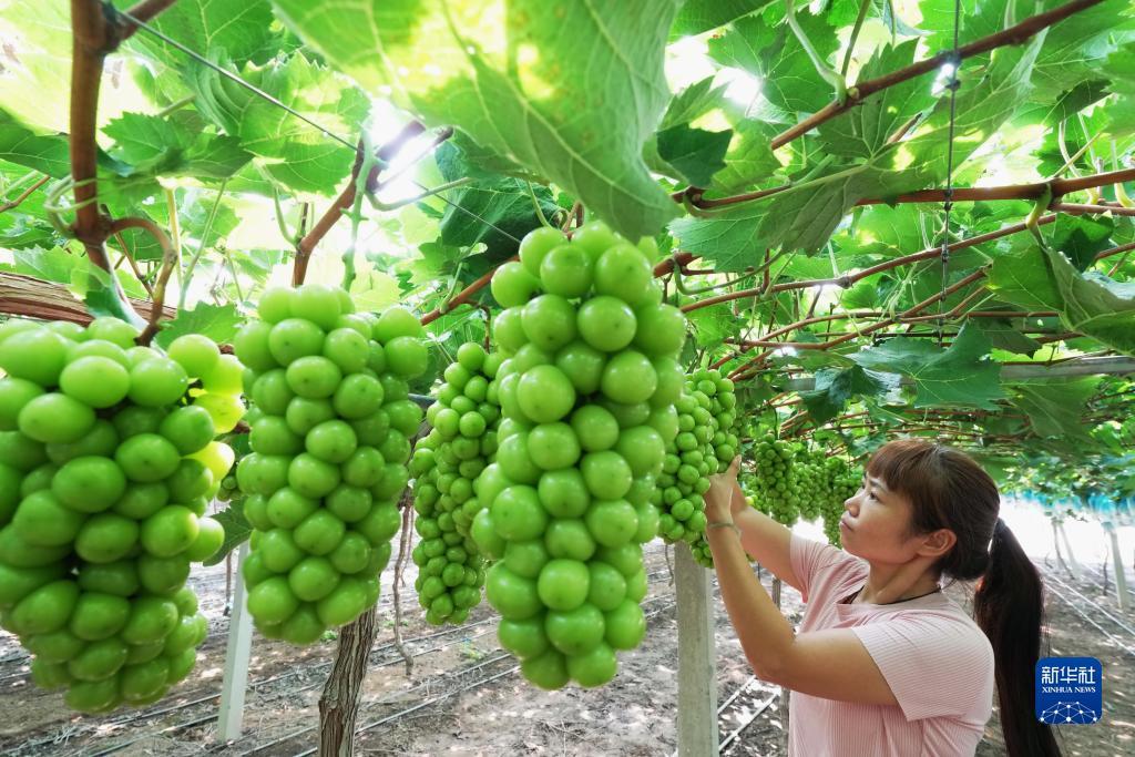 奥门永利官网误乐